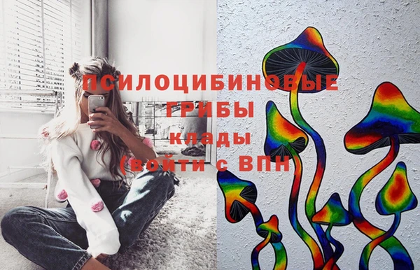 шишки Верхний Тагил